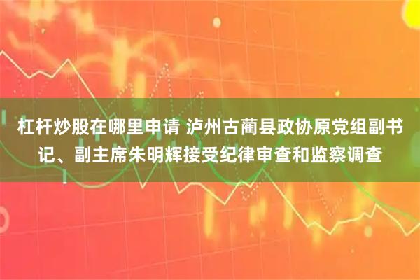杠杆炒股在哪里申请 泸州古蔺县政协原党组副书记、副主席朱明辉接受纪律审查和监察调查
